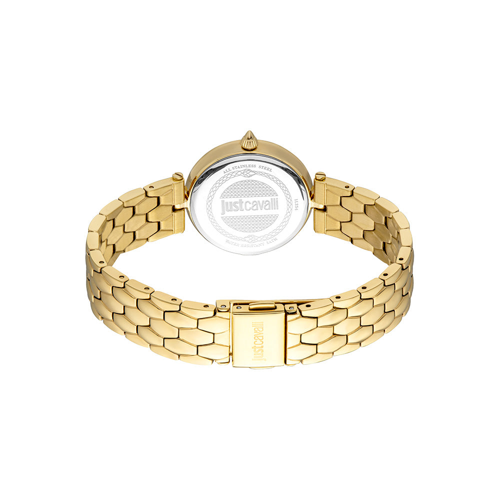 Donna Leopardo Women Green Stainless Steel Watch