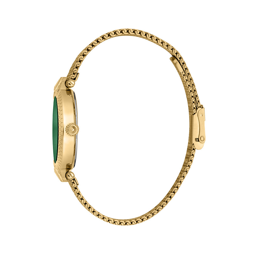 Creazione Women Green Stainless Steel Watch