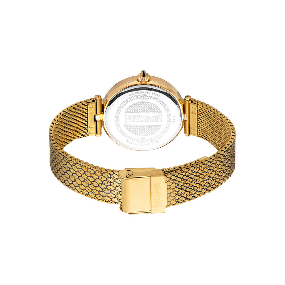 Creazione Women Green Stainless Steel Watch