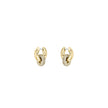 Women Live Precious Earrings