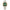 Men Daiano 2Tone 49mm Watch