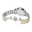 Men Treviso Tre Watch
