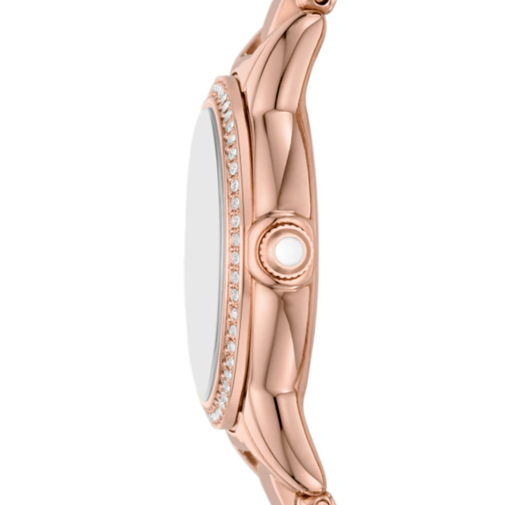 Women Rose Gold 26mm Watch