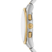 Men Dario Watch