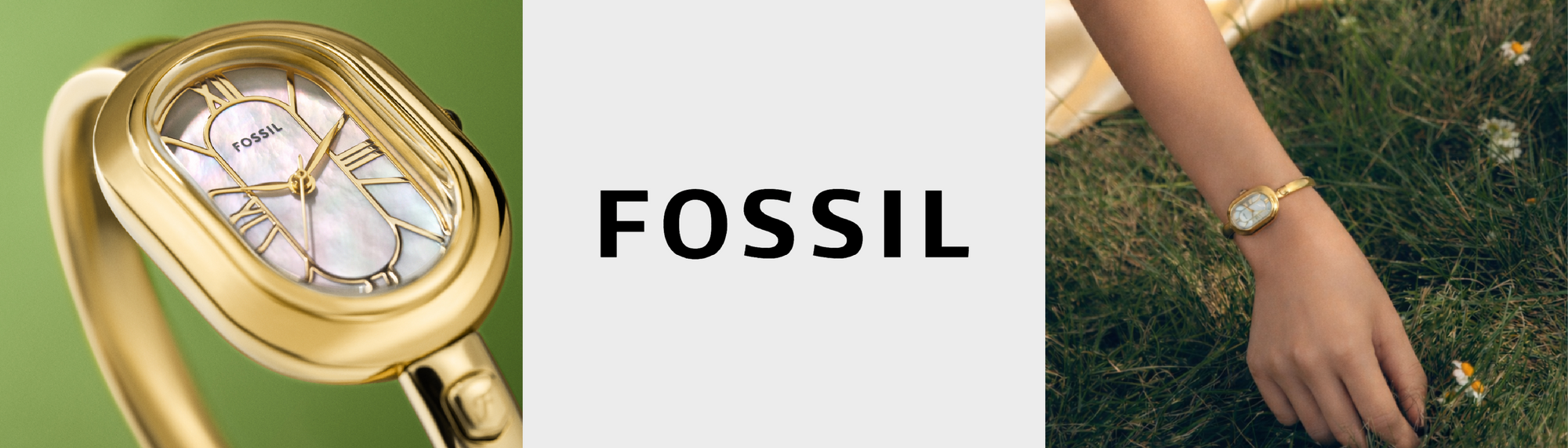 fossil