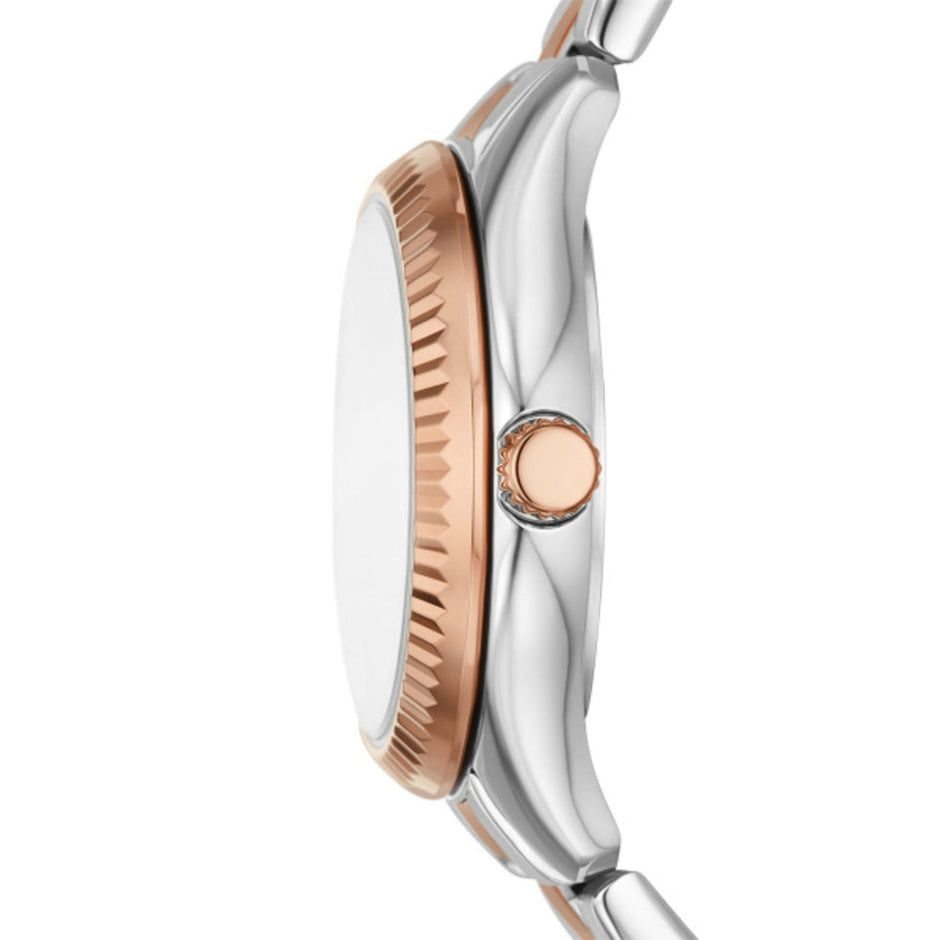 Women Rye Silver 30mm Watch