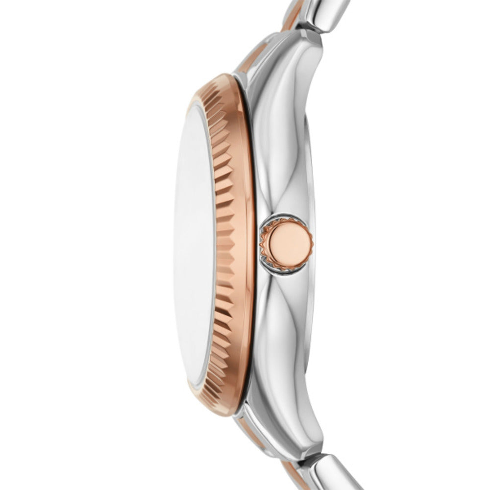 Women Rye Silver 30mm Watch