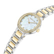 Women Bellegra White 32mm Watch