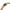 Women Norcia Green 39mm Watch