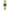 Women Gresta Green 26mm Watch