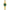 Women Lerici Green 23X26.5mm Watch