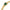 Women Lerici Green 23X26.5mm Watch