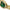Women Lerici Green 23X26.5mm Watch