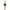 Women Mira Green 24mm Watch