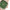 Women Mira Green 24mm Watch