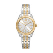 Women Two Tone 30mm Watch