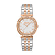 Women Two Tone 30mm Watch