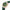 Men Ducati Green 43.5mm Watch
