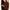 Women Carlie Rose Gold 28mm Watch