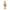 Women Raquel Gold 26mm Watch