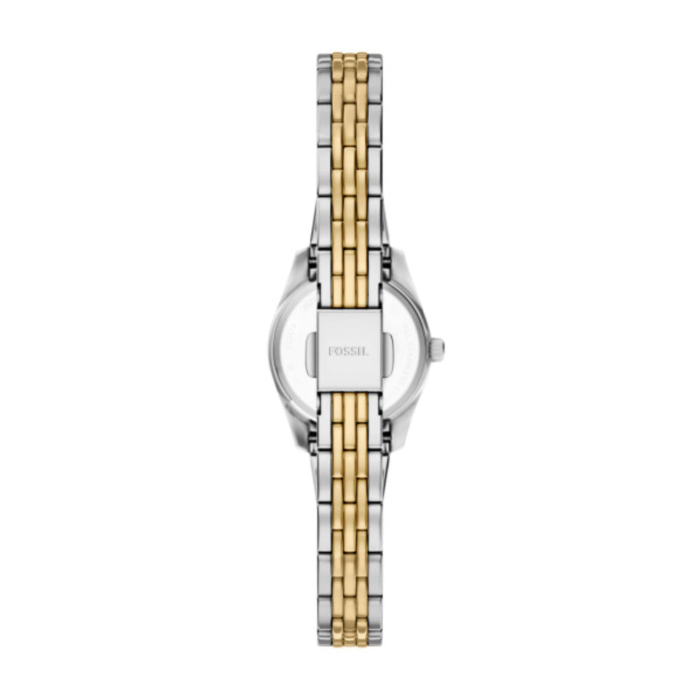 Women Scarlette Watch