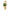 Women Aurora Gold 30mm Watch