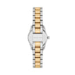 Women Lexington Watch