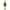 Women Norcia Gold Watch