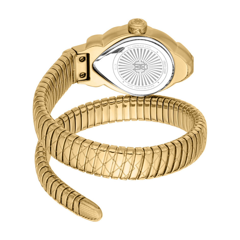 Women Fiaba Gold 24.5 X 39mm Watch