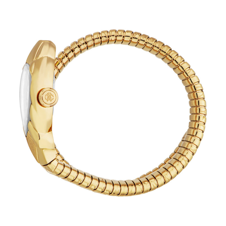 Women Fiaba Gold 24.5 X 39mm Watch