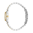 Women Sofisticata 24mm Watch Set