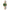 Women Rv-229 Two Tone 25mm Watch